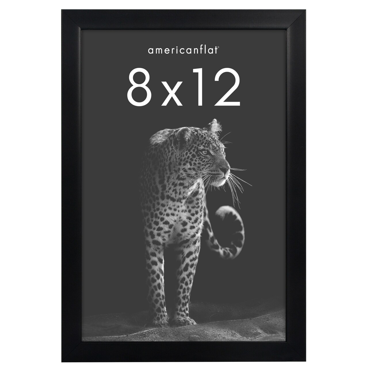 Americanflat Gallery-Style Picture Frame - Ideal Frame for Gallery Wall Display - Showcase Artwork, Prints, and Photos - Shatter Resistant Glass - Hanging Hardware with Drywall Anchor